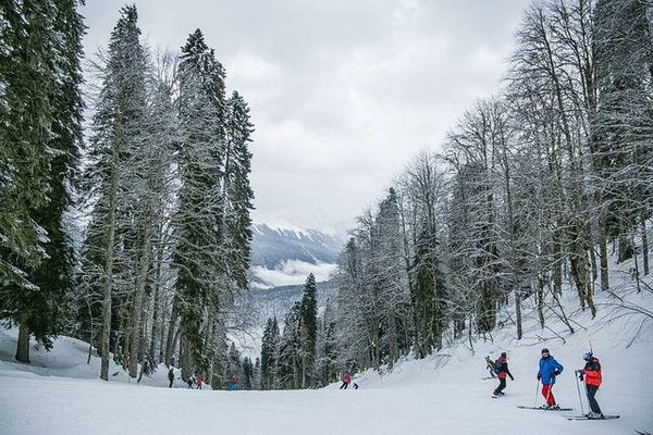 Activités de ski de fond : Parcourez les pistes en toute tranquillité