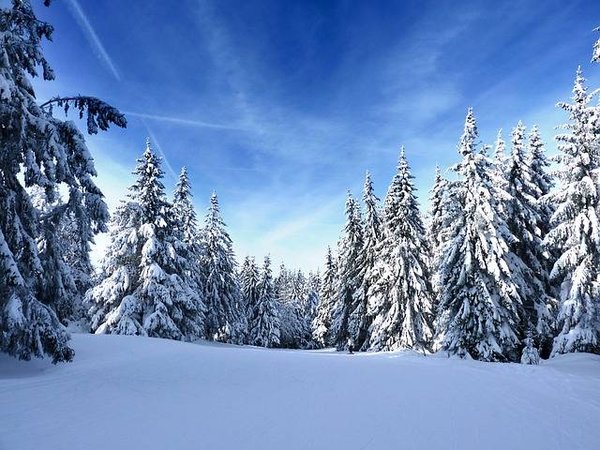 Location de chalet pour le ski dans les Vosges : Séjour nature et glisse