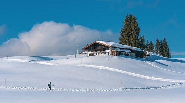 Où louer des vacances luxe à la montagne à deux pas des pistes de ski en France ?