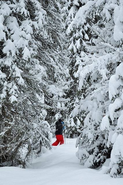 Exploration des Alpes françaises en raquettes à neige